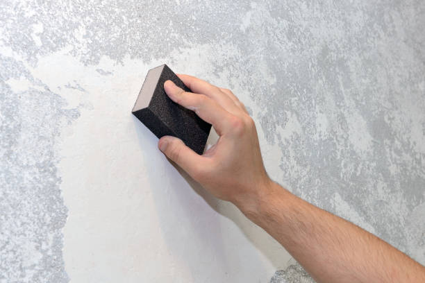 Best Airborne Mold Testing  in Holbrook, NY