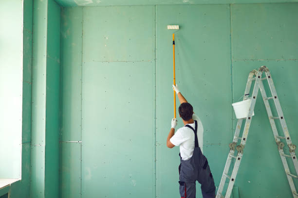 Best Asbestos and Lead Testing During Mold Inspection  in Holbrook, NY