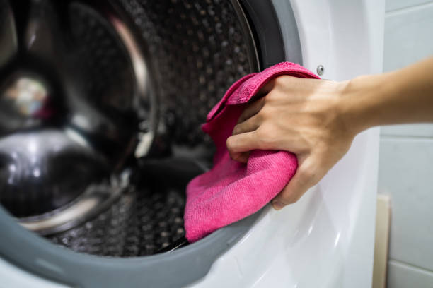 Best Mold Damage Restoration  in Holbrook, NY