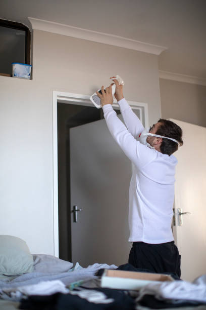 Best Mold Damage Restoration  in Holbrook, NY