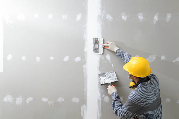Best Biohazard Mold Removal  in Holbrook, NY
