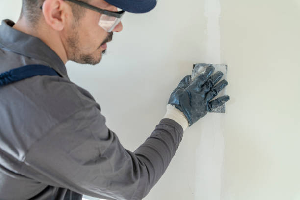 Best Mold-Related Health Consultation  in Holbrook, NY