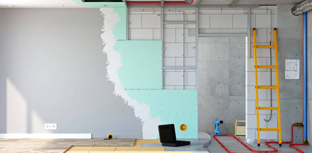 Best Black Mold Removal  in Holbrook, NY