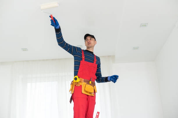 Reliable Holbrook, NY Mold Removal Solutions