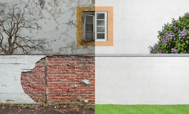 Best Emergency Mold Remediation  in Holbrook, NY