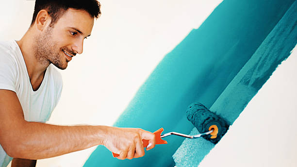 Best Mold Removal for HVAC Installations  in Holbrook, NY
