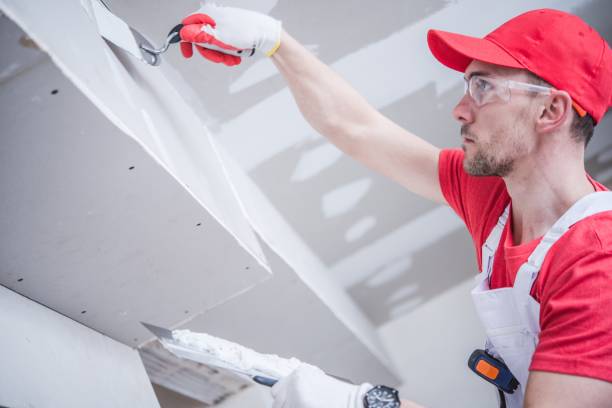 Best Water Damage & Mold Remediation  in Holbrook, NY